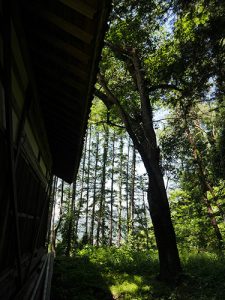 北赤井神社