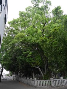 日招八幡大神社