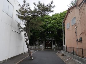 日招八幡大神社