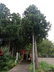 國中神社