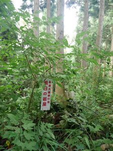 越知神社