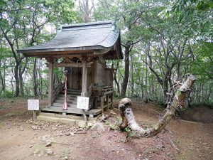 越知神社