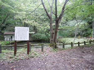 越知神社