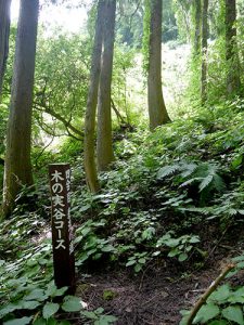 越知神社