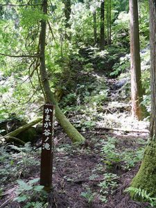 越知神社