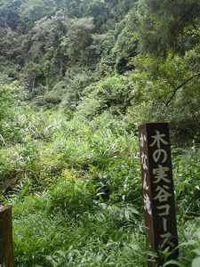 越知神社