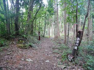 越知神社