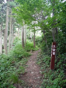 越知神社