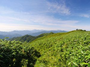 白山神社奥宮