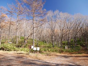 山家神社奥宮