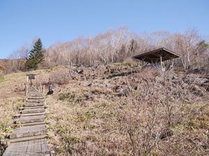 医家神社