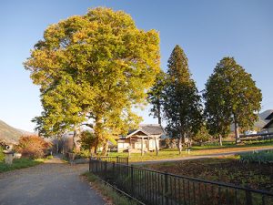 表木神社