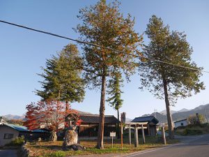 竹室神社