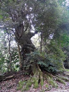 木野神社