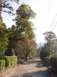 彌美神社