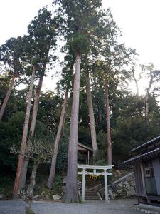 彌和神社