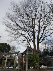 土清水八幡神社