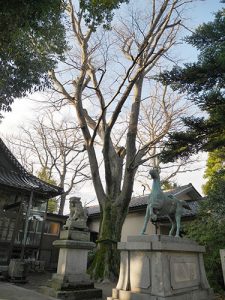 守郷白山神社