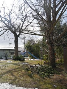 伊勢玉神社