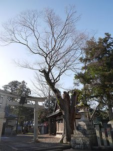 彦根神社