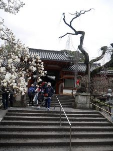 氷室神社