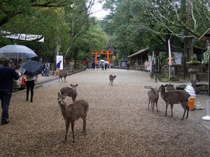 春日大社