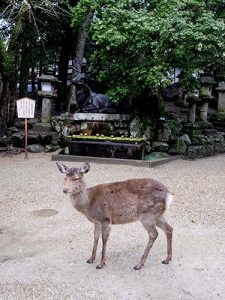 春日大社