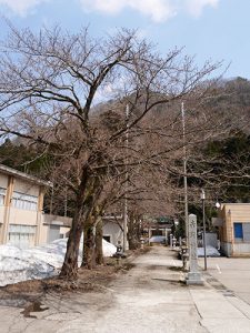 吉野神社