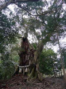 闇見神社