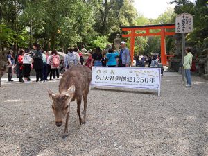 春日大社