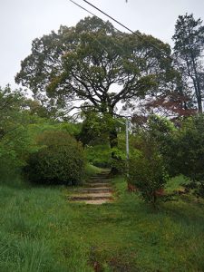 飯道神社