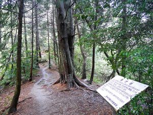 御上神社奥宮