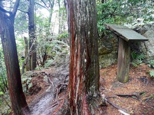 御上神社奥宮