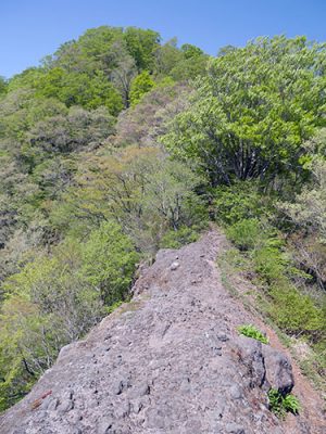 青葉山登拝