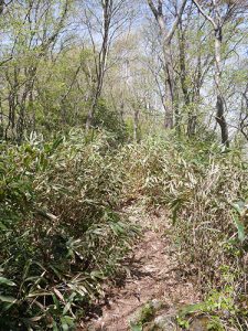 青葉山登拝