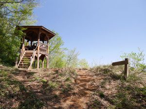 青葉山登拝