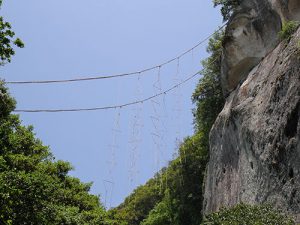 花窟神社