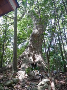 産田神社