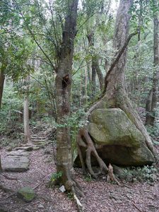 滝尻王子宮十郷神社