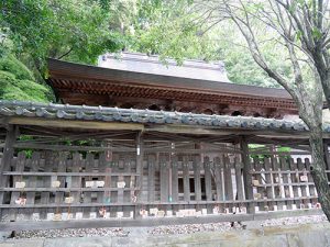 闘鶏神社