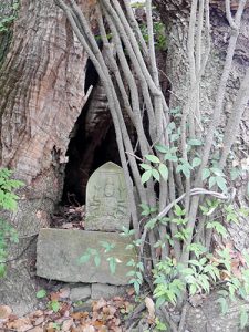 闘鶏神社