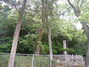 闘鶏神社