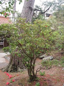 重蔵神社