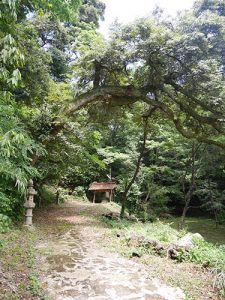 波波伎神社