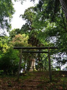 大瀧神社