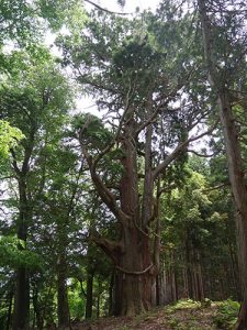 大瀧神社