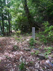 大瀧神社