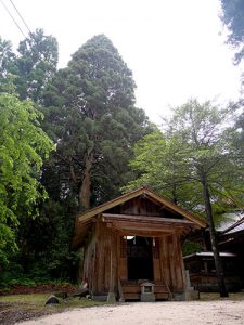 樂樂福神社