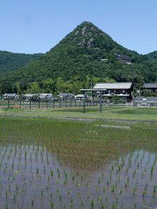 太郎坊宮