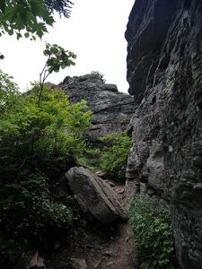 山家神社奥宮